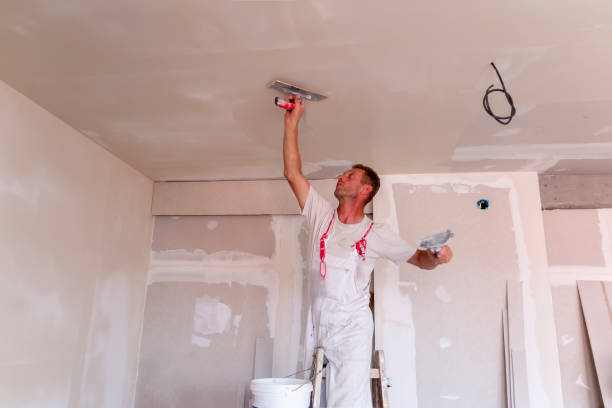 Best Drywall Installation  in Longview Heights, WA